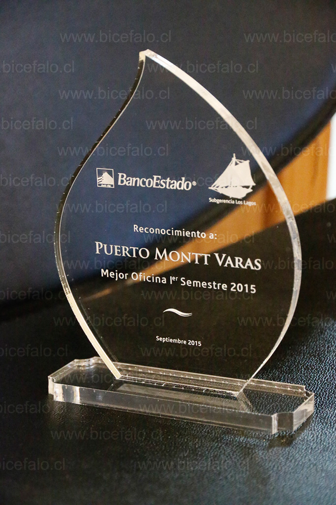 Trofeo Acrilico Hoja Gota