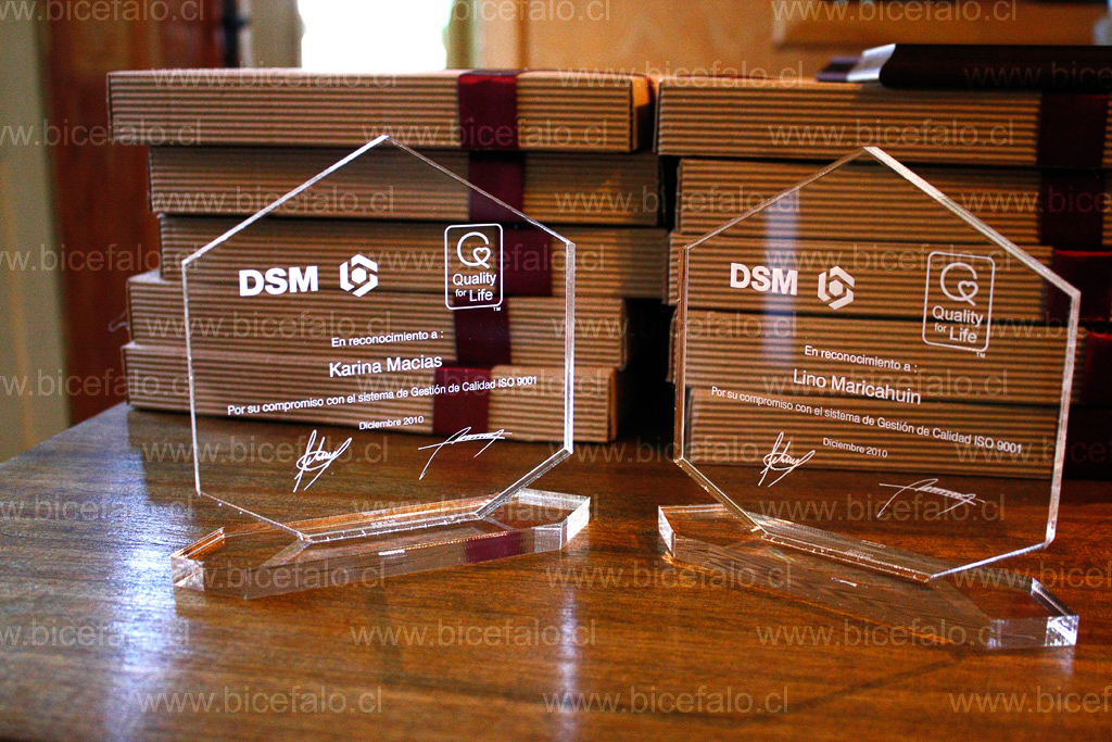 trofeo acrilico DSM
